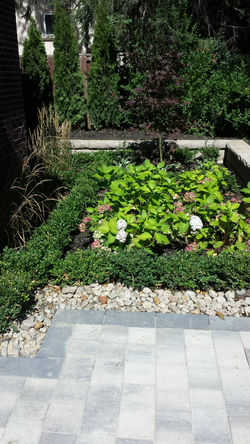 Planting and Landscaping