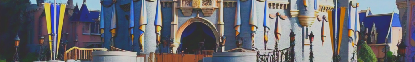 Cinderella's Castle Bottom