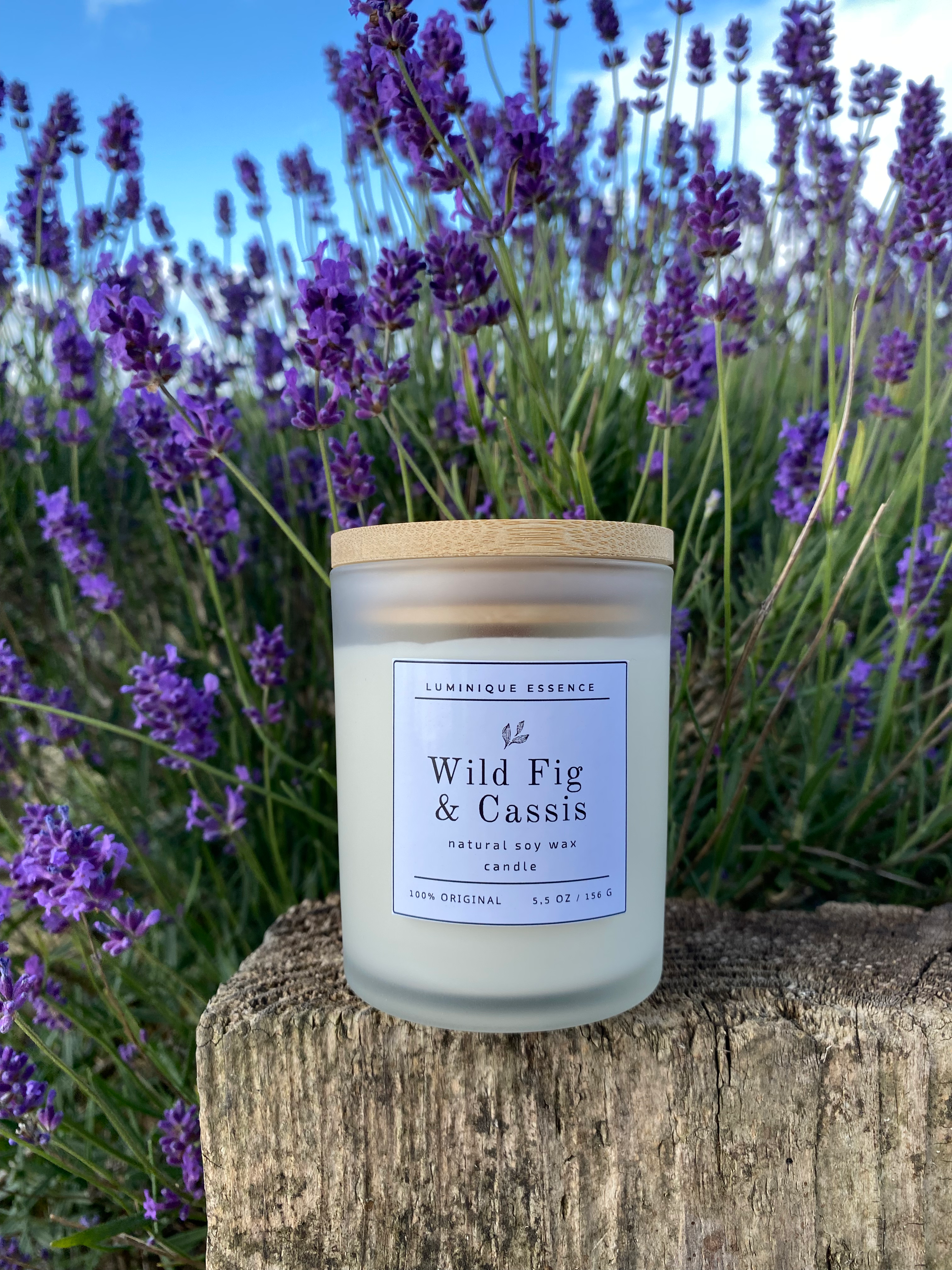Wild Fig & Cassis