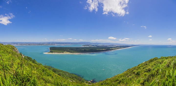 Matakana Island