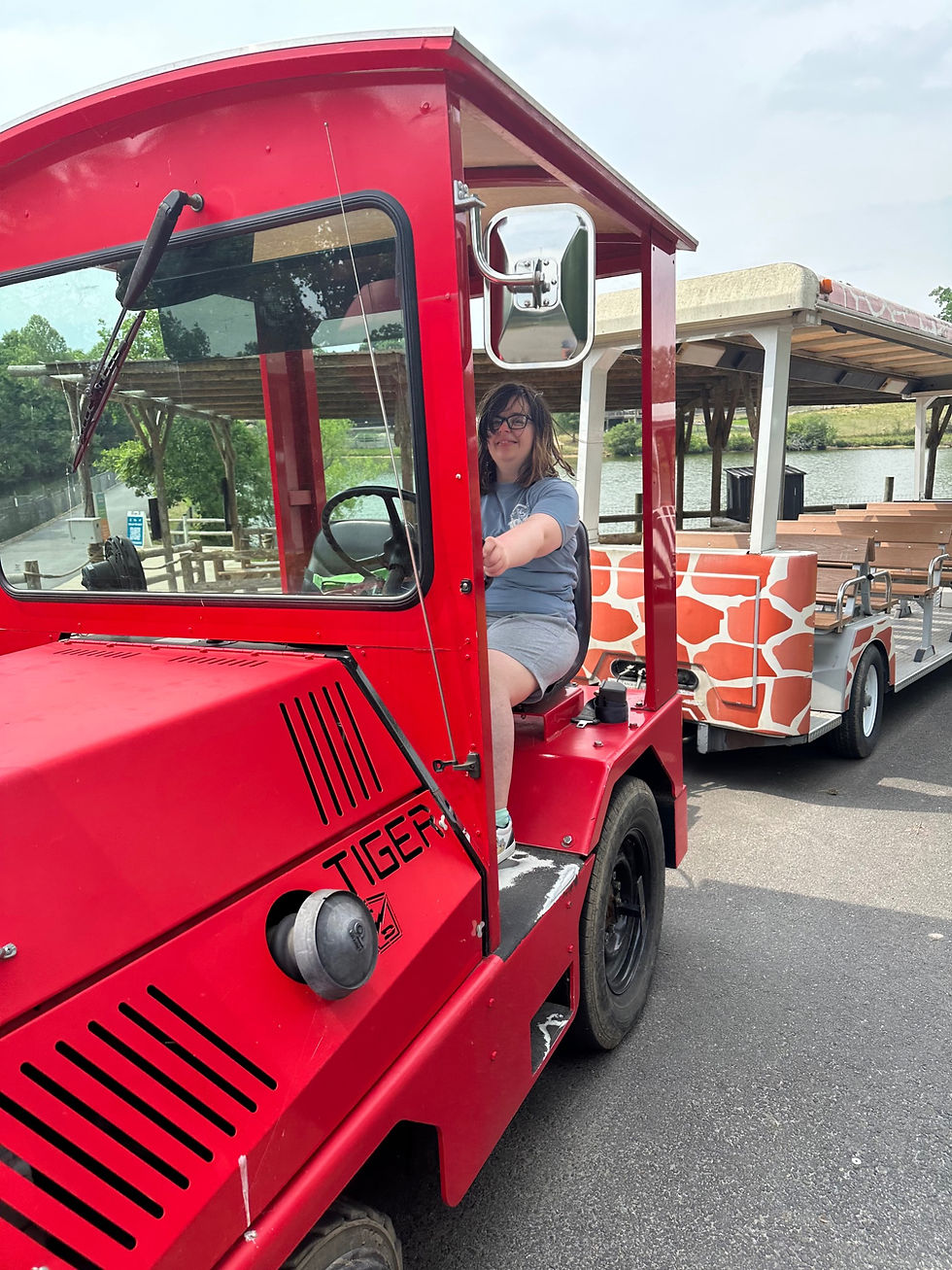 Enjoying a zoo train outing