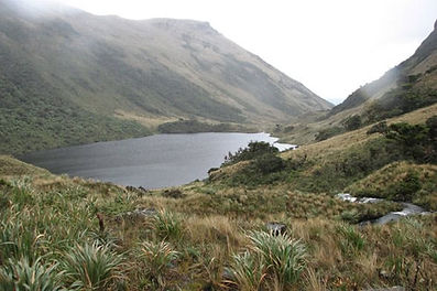 LAGUNA.jpg