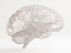 Brain Networks