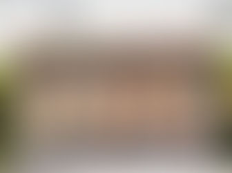 el detrás de la fiesta de Zoe