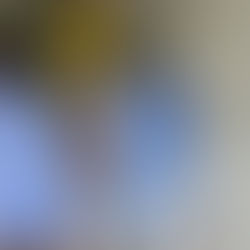 WEG (WEGE3) aprova dividendo complementar e plano de R$ 5,2 bi para próximos 3 anos