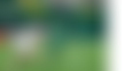 Chapecoense perde em casa para o Remo, com gol contra, em duelo da zona de rebaixamento