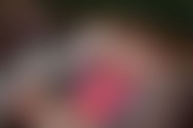 Tornados deixam rastro de destruição no Oeste de SC