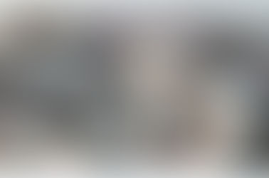 Secretaria da Aquicultura e Pesca de SC é contrária à proposta do Governo Federal que pode afetar a cadeia da tilápia, ostras e outras espécies