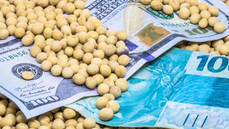 Fiagros em alta: o agro brasileiro impulsiona nova onda de investimentos