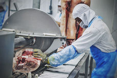 Santa Catarina segue lider na exportação de carne suína e município vê arrrecadação disparar