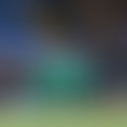 Chapecoense estreia com vitória histórica no Brasileirão e chega em vantagem nas quartas do Catarinense