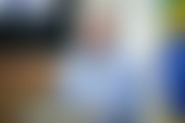 Deputado Mário Motta protocola pedido de CPI na Alesc para apurar morte do cão Orelha