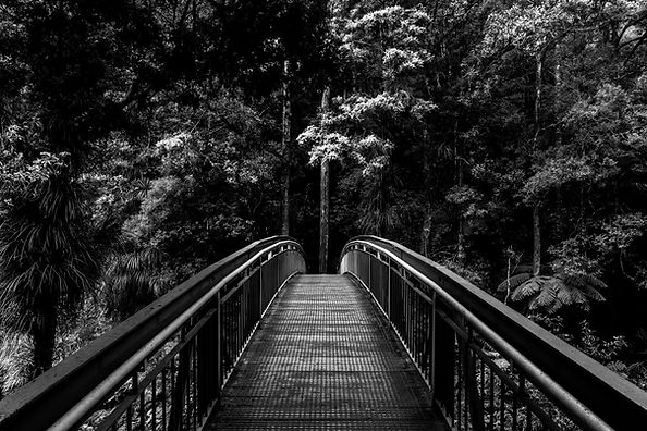 la passerelle que la Magicienne des Mots te fait franchir durant ses accompagnements