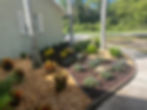Landscape One