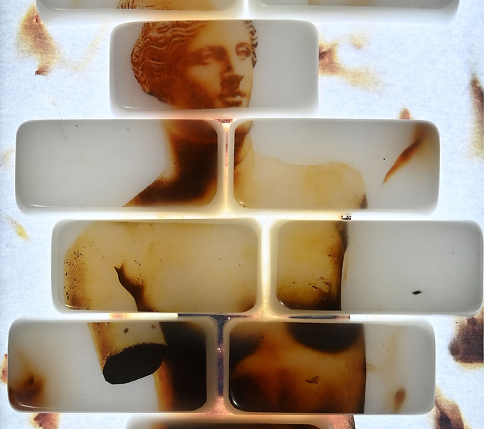 VENUS instagra1 (2).jpg