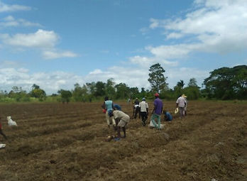 Farmers at Nord'Esst