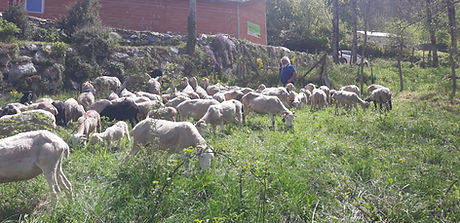 20190509_124635_edited.jpg