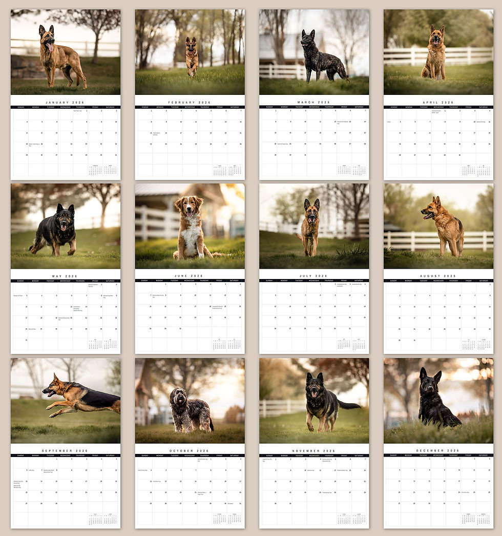 2026_CharliesAngelsRescue_CALENDAR_SUMMARY_WEB.jpg