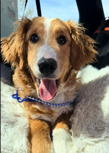 Screenshot 2026-04-13 at 9.45.00 PM.png