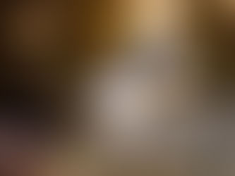 Border Collie kneeling on boulder