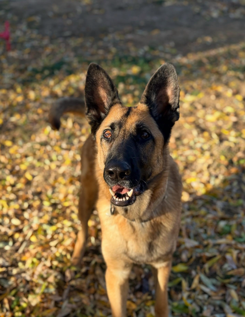 Screenshot 2026-03-28 at 11.52.53 PM.png