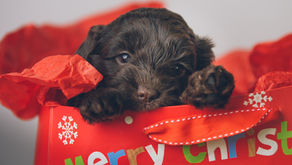 Who Has a Home? And a Name!