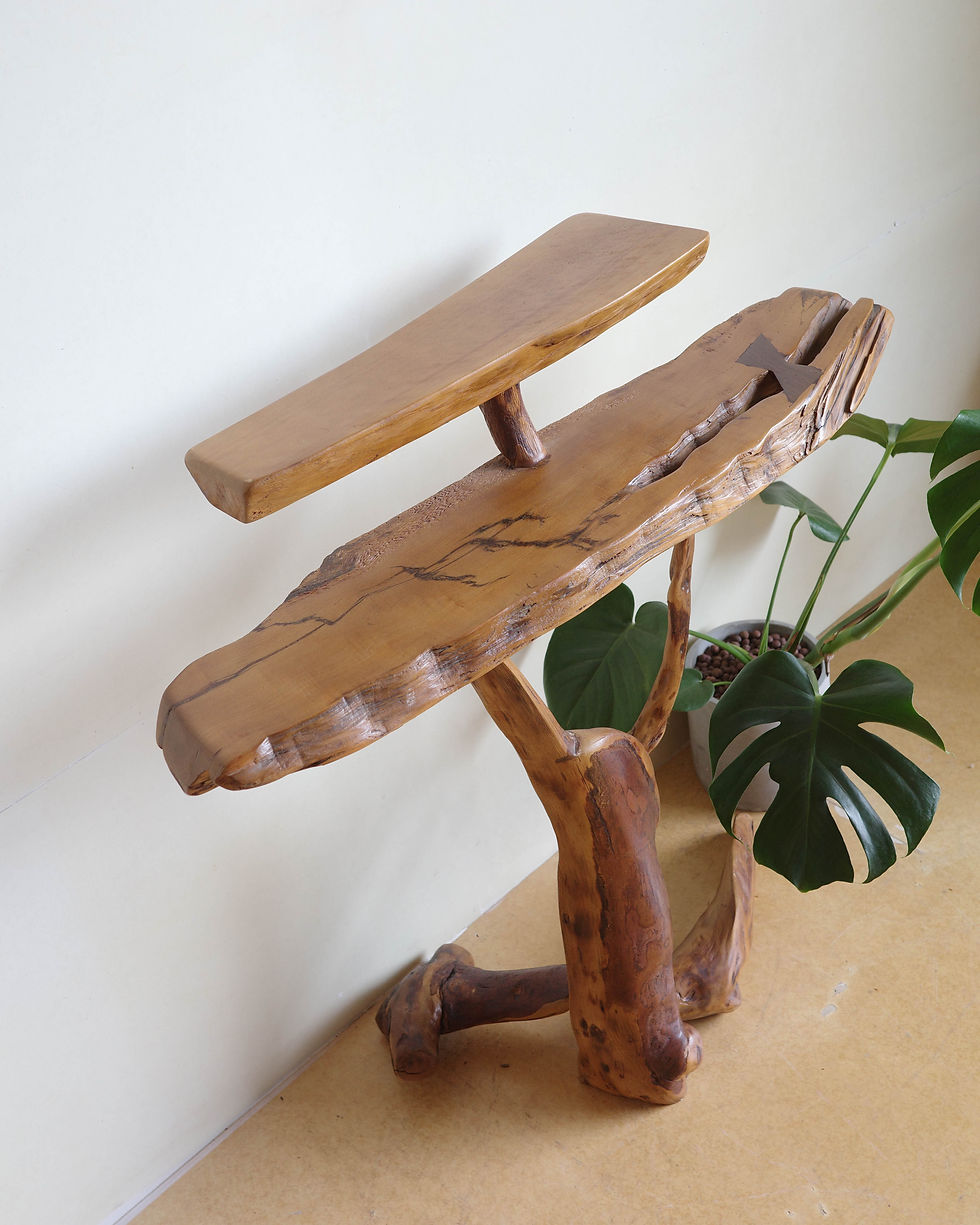 サムネイル： 展示台/架丨舊木新作丨雙層原木端景台（肖楠)丨實木家具展示架丨玄關桌