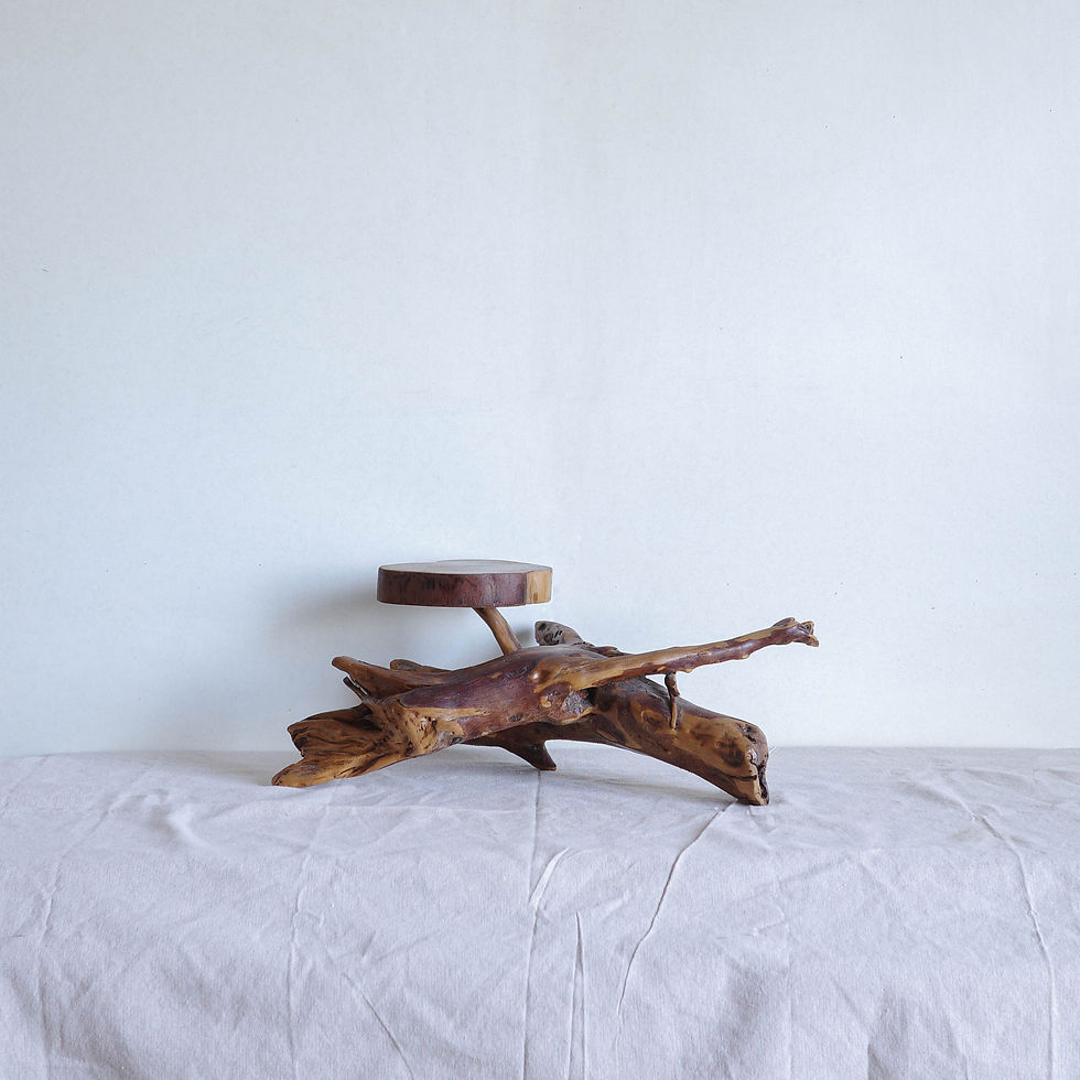 展示台丨舊木新作丨奇木曲幹原木平台(肖楠)丨奇木家具展示台