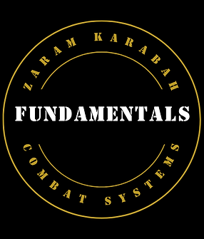Website Services_ZKCS_Promo Video_Fundamentals_Logo (1).png