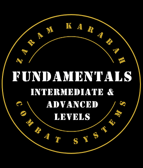 Website Services_ZKCS_Promo Video_Fundamentals Intermediate and Advanced_Logo (1).png