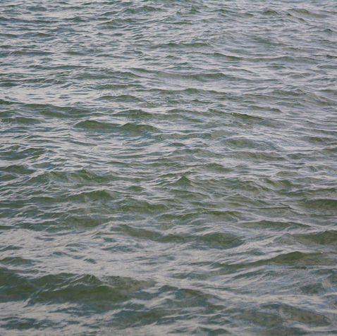 A Daily Dose of the Color Blue