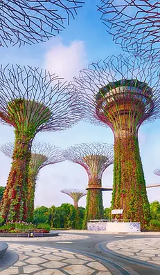 1023-1702_singapore2-xlarge.webp