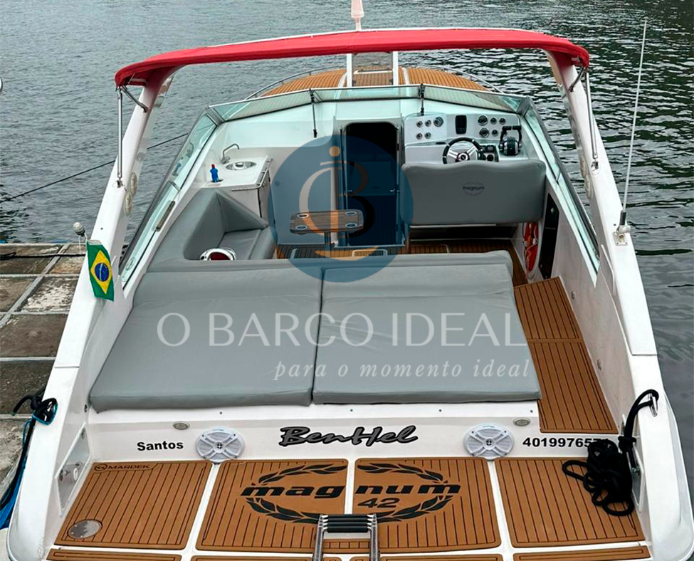 Miniatura: New Magnum 42