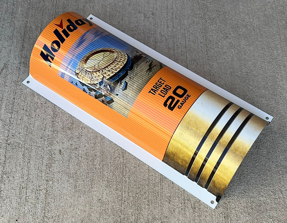 Thumbnail: Holiday Target Load 20 Gauge Shell