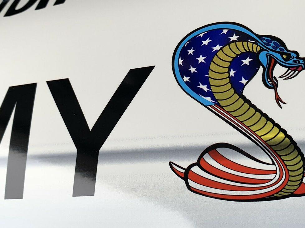 Thumbnail: Don Prudhomme Snake Army