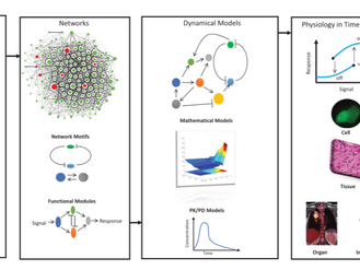 Systems Biology Primer
