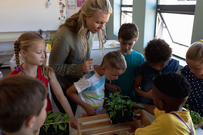 female-teacher-around-box-plants-nature-study-lesson-elementary-school-classroom.jpg