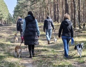 Trainingsspaziergang Social Walk in einer kleinen Gruppe
