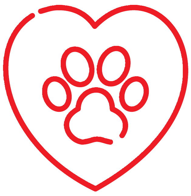 4.PNG