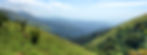 Nearby_header.jpg