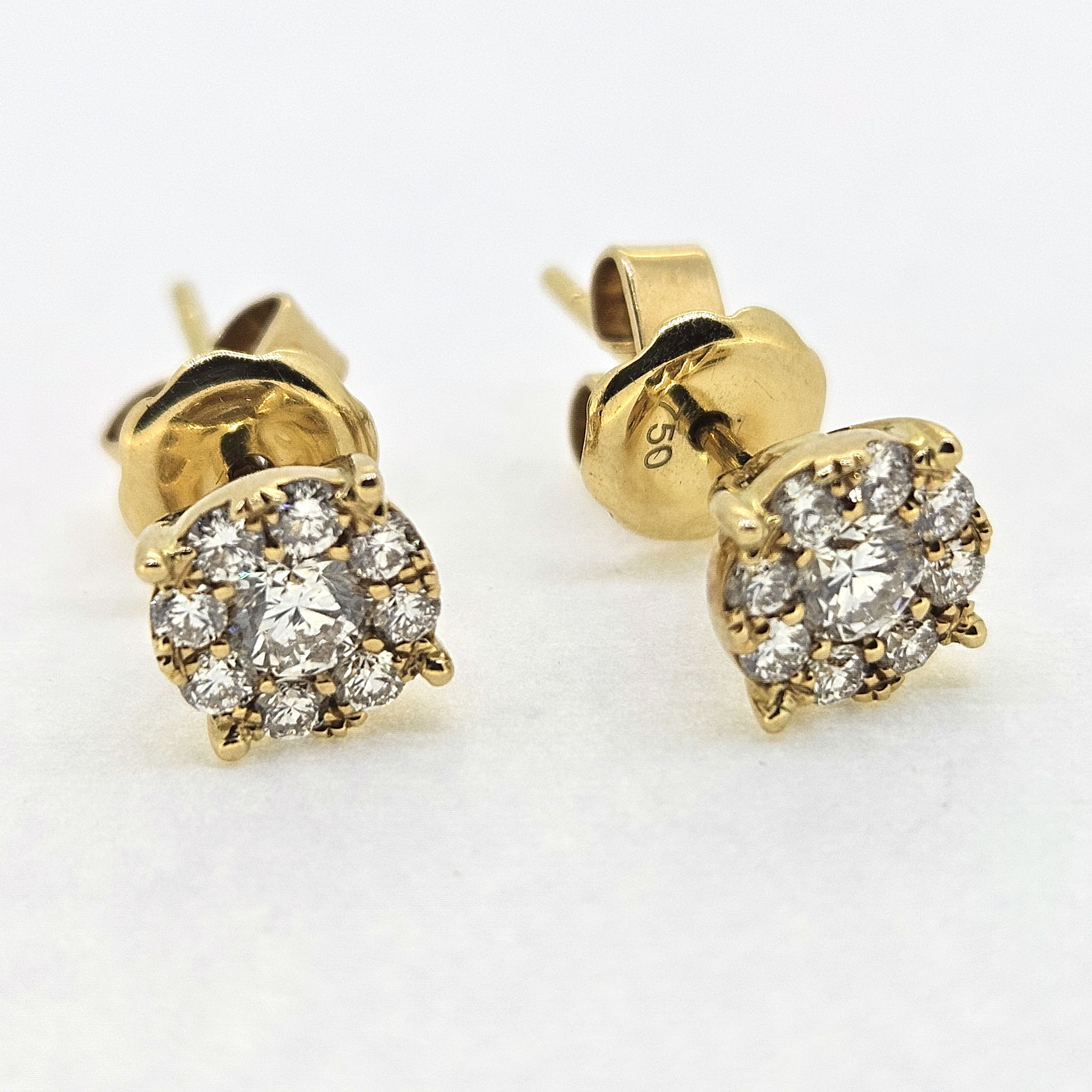 Diamond Earrings 18ct D.50