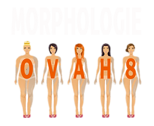 look et lumière - morphologie