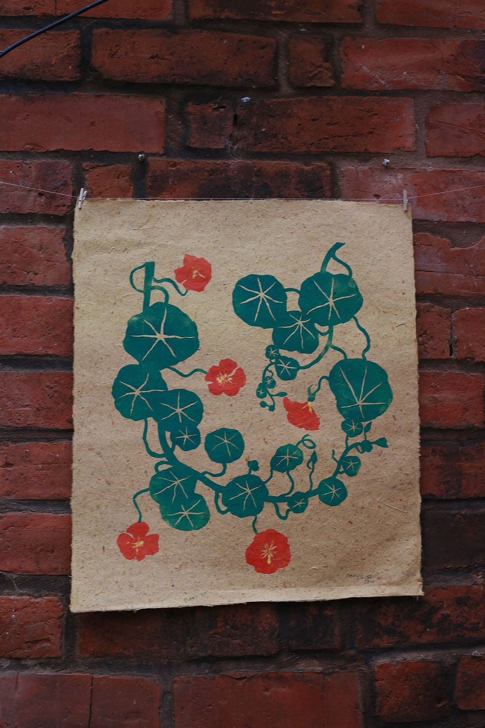 Thumbnail: Nasturtiums on yellow