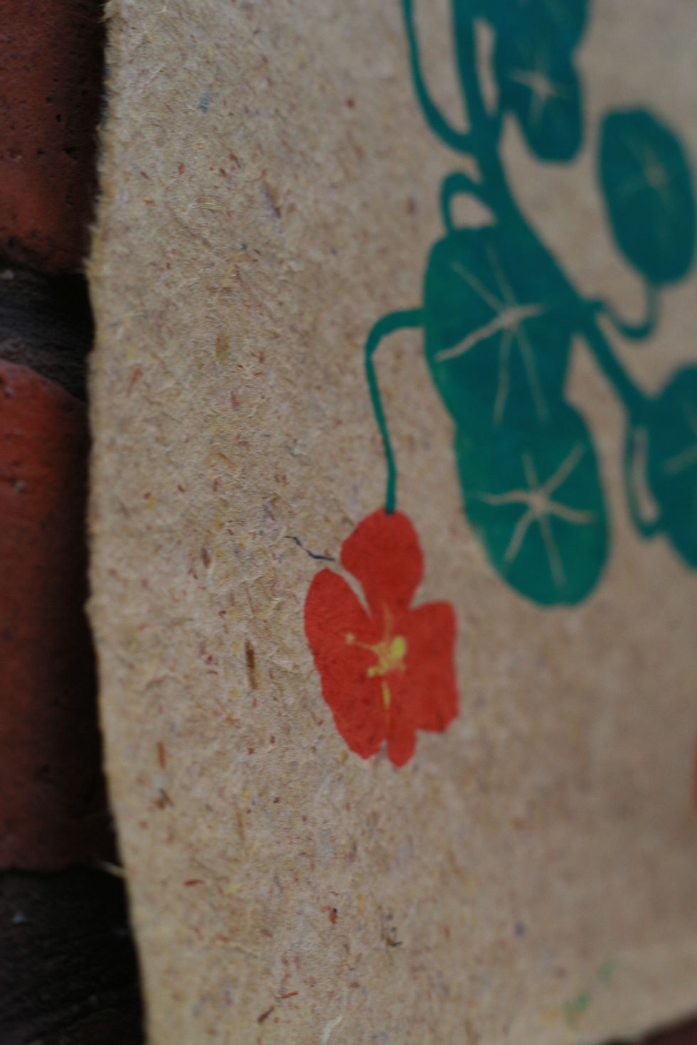 Thumbnail: Nasturtiums on yellow