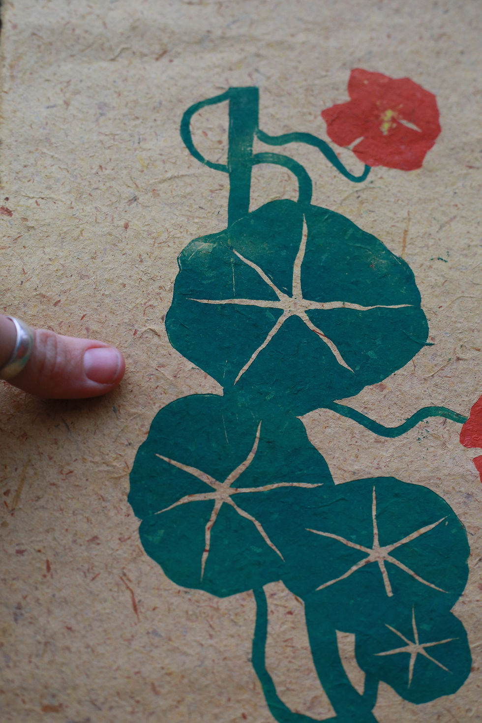 Thumbnail: Nasturtiums on yellow
