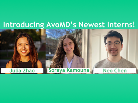Introducing AvoMD's newest interns!