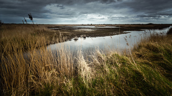 paysage de la Hague, mer de la manche, cotentin, la Hague, photographie art normandie, paysage de normandie, seascape, mer, cote française,