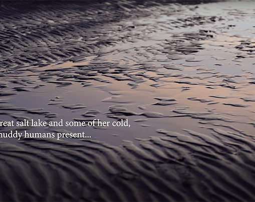 what can a body be, or, great salt (lake) dreaming