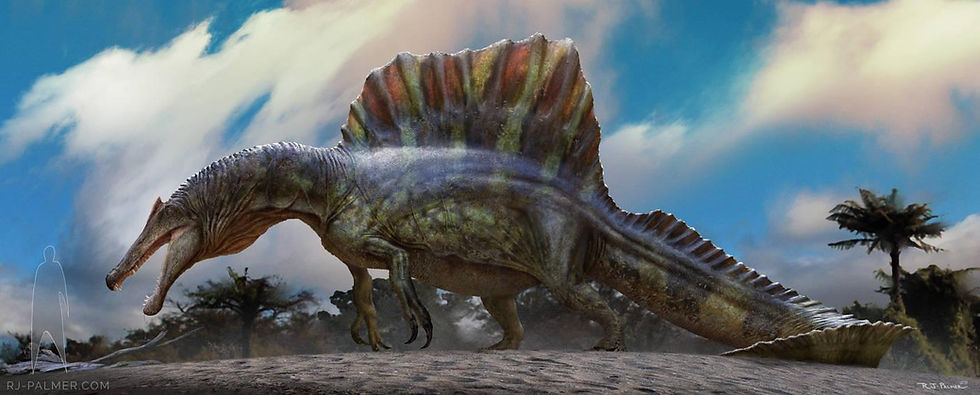 Debating the Spinosaurus: Terrestrial or Aquatic? 