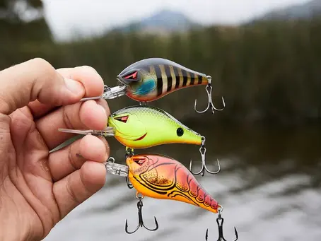 The Best Bass Lures for Spring & Your Fishing Game